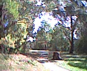 QCIF sample