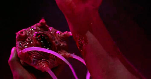 Chompy otherworldly jellyfish thing
