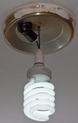 Big bare bulb