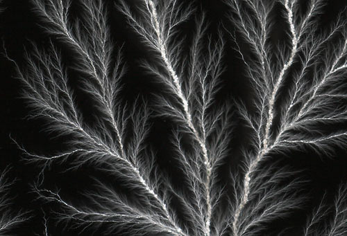 Close-up of Lichtenberg figure