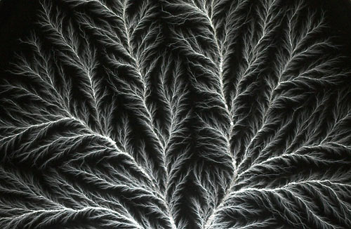 Lichtenberg figure detail