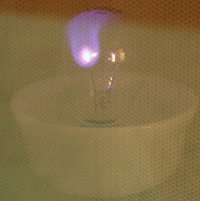 Microwaved light bulb