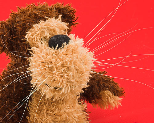Whisker detail