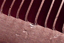 Bitspower copper heat sink detail