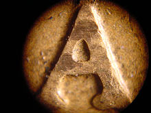 Microscope shot