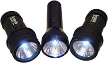 LEDCorp lights