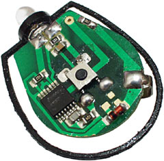 Pocket-Bright circuit board