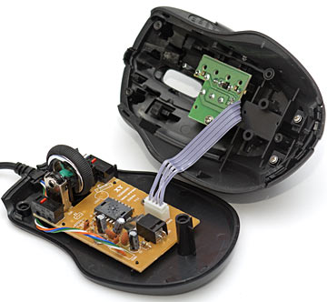 Mouse interior