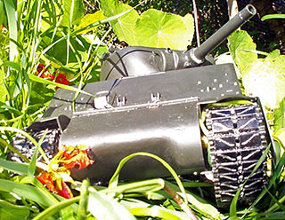 A Sherman among the nasturtiums.